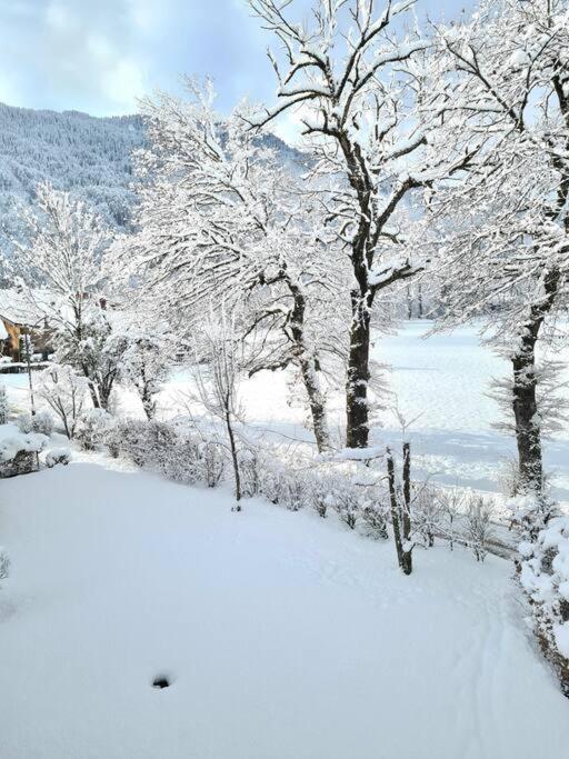 Appartement Le D12 Samoëns Exterior foto